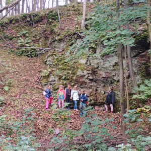 IMG_20240926_154448035.jpg