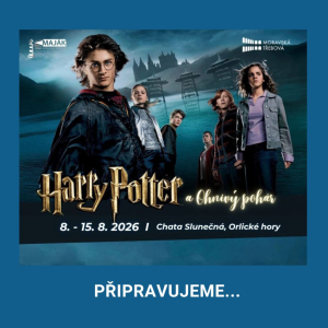 Harry Potter a Ohnivý pohár