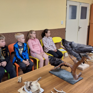 Zvídavá sobota - jak to funguje v přírodě 