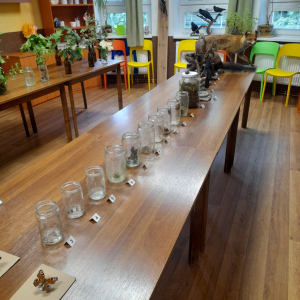 Přírodovědné soutěže v poznávání rostlin a živočichů 