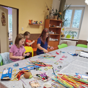 Praktická dívka II