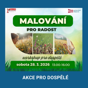 Malování pro radost - workshop pro dospělé