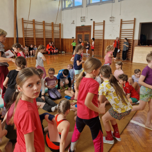 Gymnastický dvojboj 