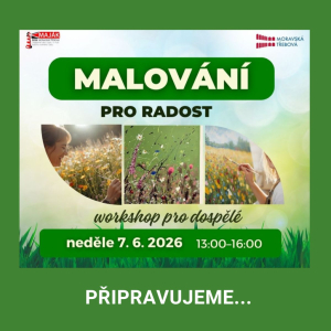 Malování pro radost - pro dospělé