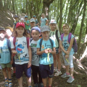 PLT Želvy Ninja (2).jpg