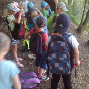 PLT Želvy Ninja (3).jpg
