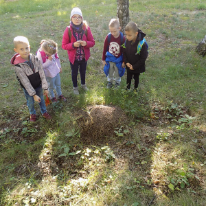 DSCN6979 u mraveniště č.1..JPG