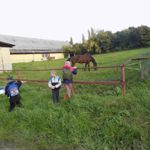 DSCN7135.JPG