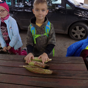 DSCN7334.JPG