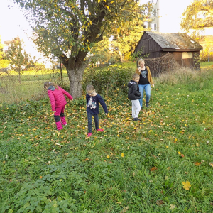 DSCN7878 kam se jen to jablíčko zakutálelo.JPG